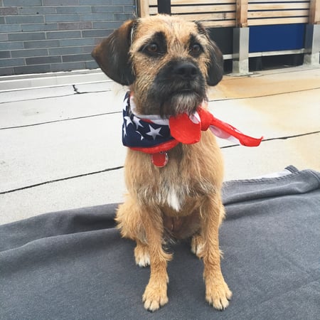 Felicia Frey photo 26