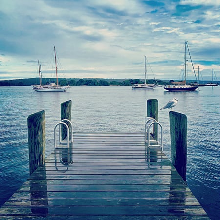 Jen Bordonaro photo 3