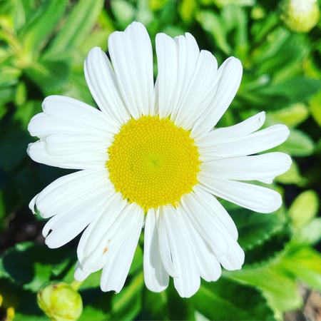 Jen Bordonaro photo 6