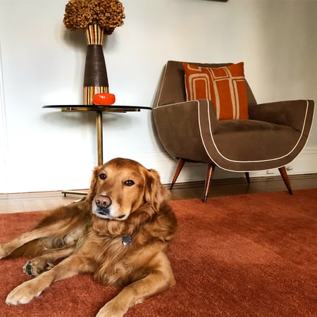 Nathalie Clark photo 3