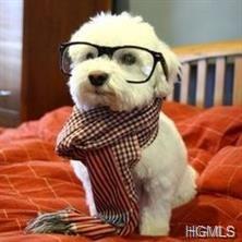 Josef "Joe" Muller photo 23