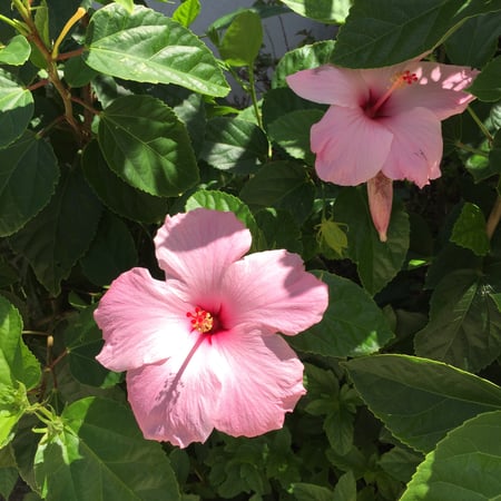 Kate Mercado photo 3