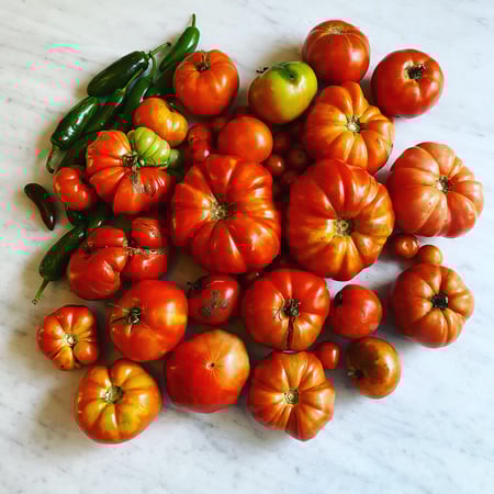 Jeanie Budge photo 5