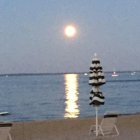 Laura DeVita photo 8