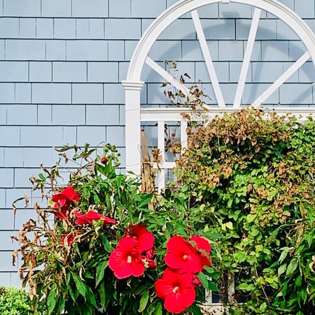 Elizabeth Blanchard photo 12