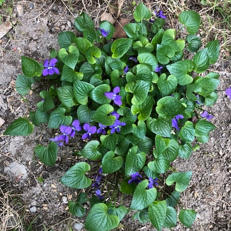 Jennifer Capala photo 5