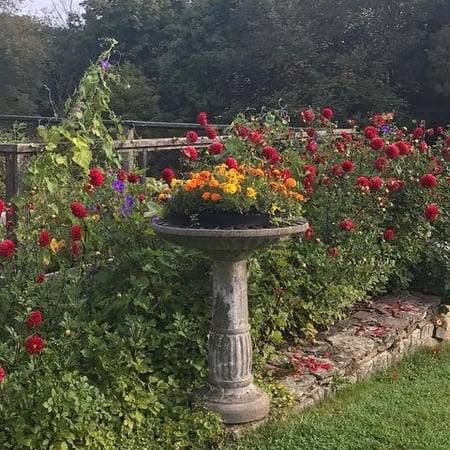 Victoria Bothroyd photo 6