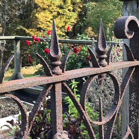 Victoria Bothroyd photo 2