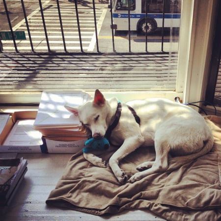 James Endress photo 5