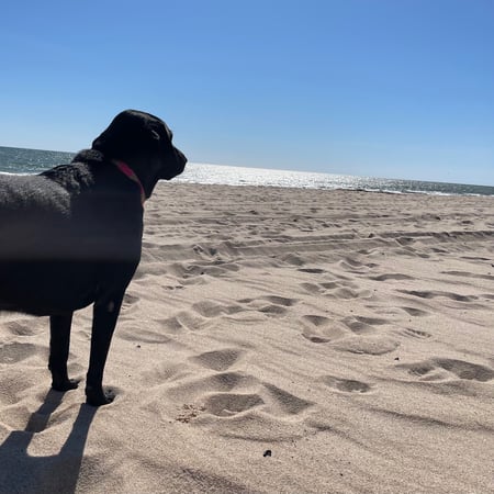 Amy McKinstry photo 5