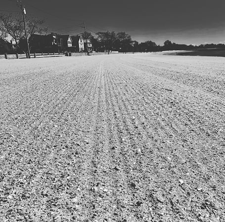 Deirdre McCloud Childs photo 18