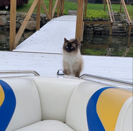 Alan T. O'Doherty photo 10