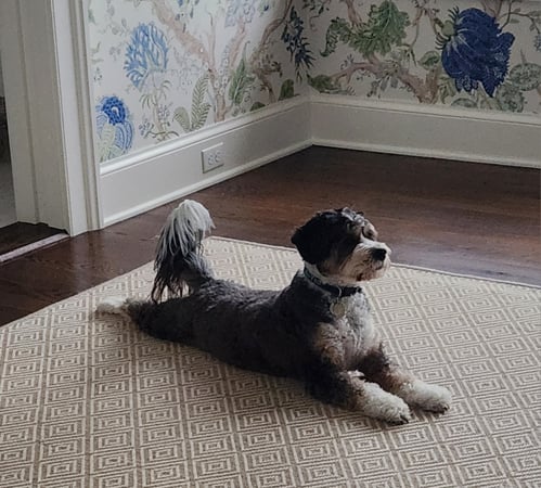 Molly O'Brien Watkins photo 7