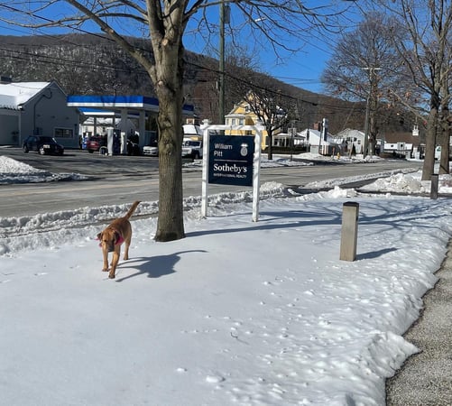 David Hurlburt photo 5