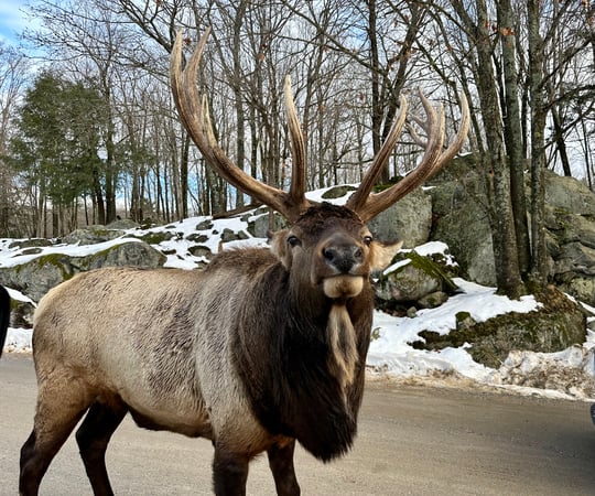 Julie Setterlund photo 12