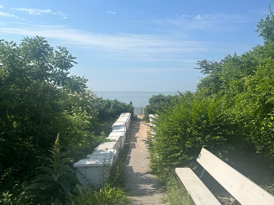 Debra Pardales photo 44