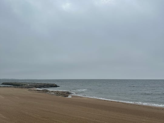 Debra Pardales photo 38