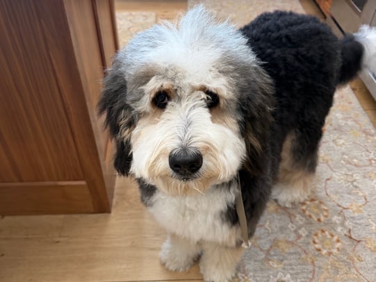 Bonnie Foster photo 12