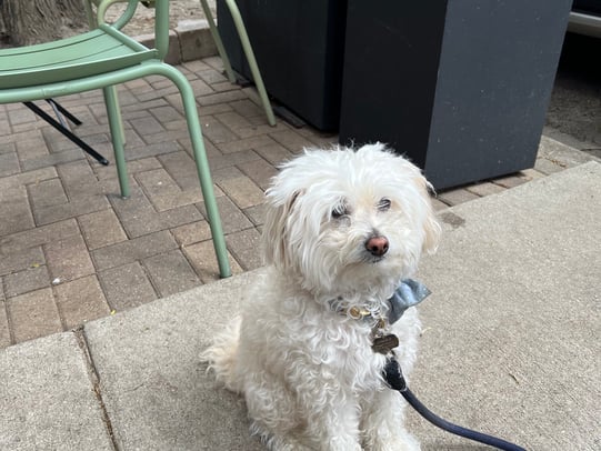 Maggie Meehan photo 20