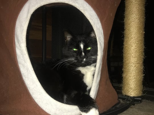 Karen Kaminski-Marchetto photo 3