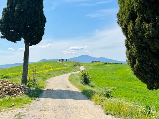 Jared Kelly photo 18