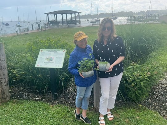 Elizabeth Johnstone photo 3