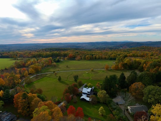 Cagney Morrison photo 3