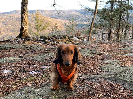 Brian Martin photo 2