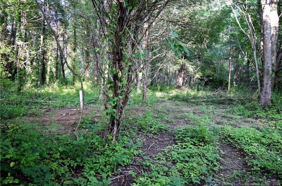 Lot #22 Kenneth Circle #MAP #77