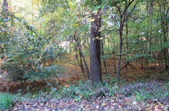17 Old Bethel Road