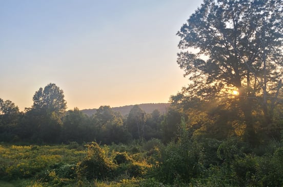 102 North Main Street