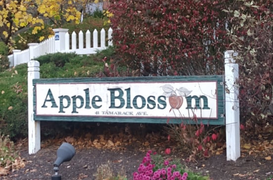 41 Tamarack Avenue UnitApt#128