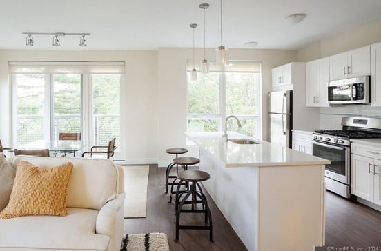 111b Morgan Street #431