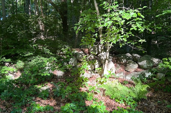 Cobbs Mill Road