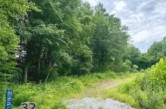 32 Birchwood Lane