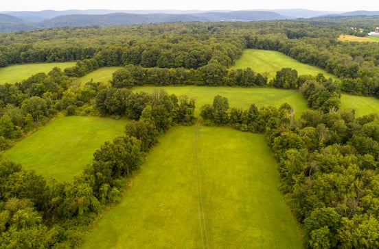 37 Popple Swamp Road