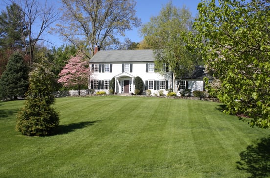 217 White Oak Shade Road