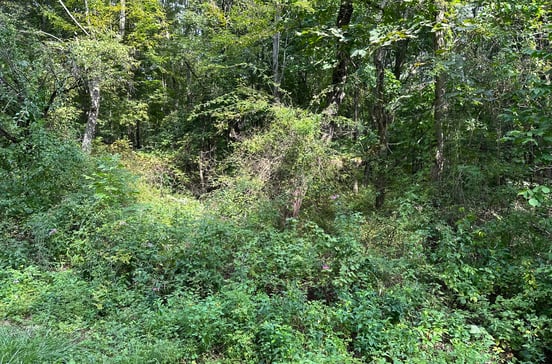 00 Sackett Hill Road