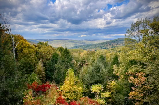 187 Warren Hill Road