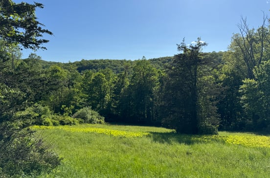 Rte 39 South, State Route