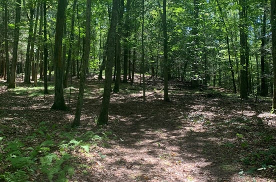 Lot 1 Chalybes Road West