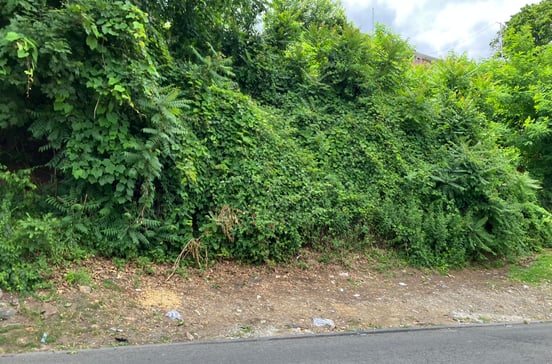 127 -133 Frederic Street