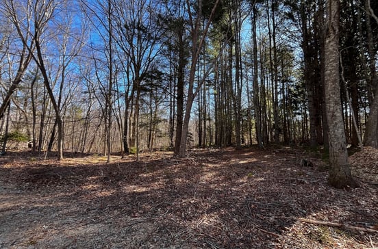 41-1 Whippoorwill Road