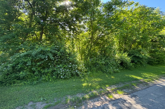 Goose Hill Road