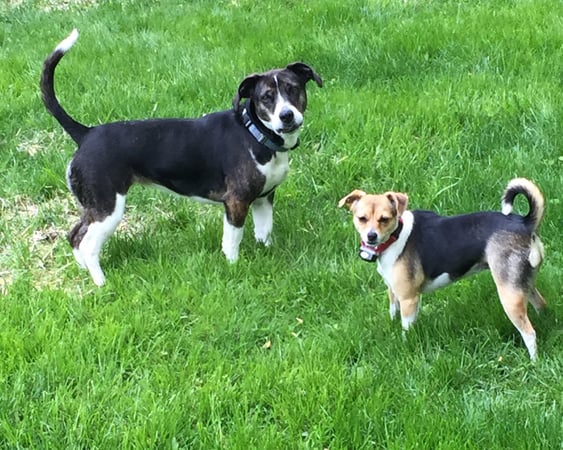 Kristi Vaughan photo 2