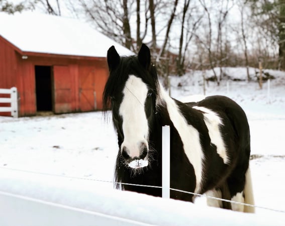 Stacy D. Chojnowski photo 2