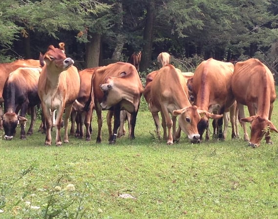 Gladys Montgomery photo 9