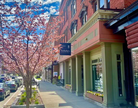 Stephanie McNair photo 3