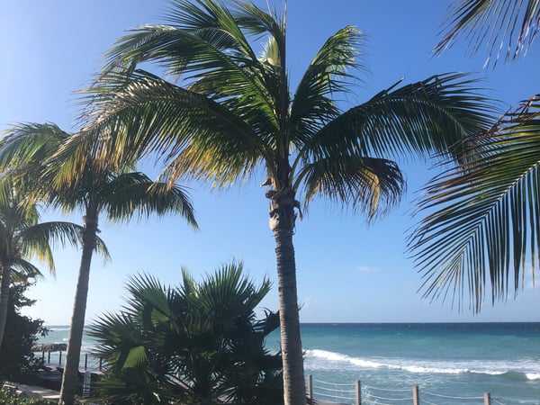 Carole Wolfson-Crum photo 3