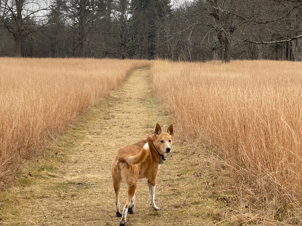 Catherine McDonald photo 2
